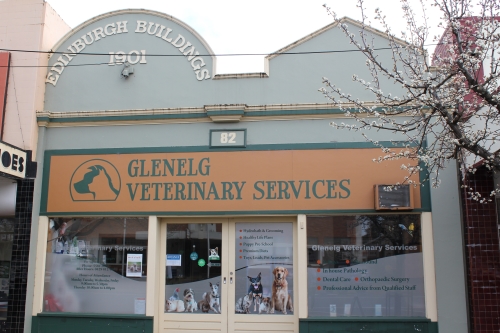 Glenelg Veterinary Services